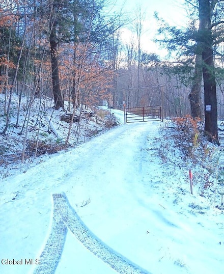 575 Hollenbeck Rd, Worcester, NY 12197