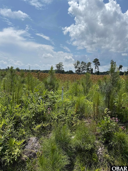 TBD Cove Rd Unit Lot 5, New Hope, NC 27944