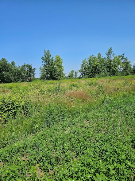 lot7 Hooper Creek Loop, Baudette, MN 56623