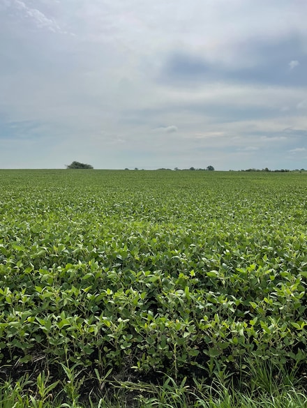 00 S Walsh Rd, Manhattan, IL 60442