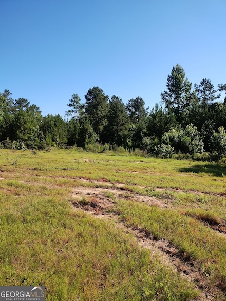 0 Moore Rd Unit 10546435, Register, GA 30452