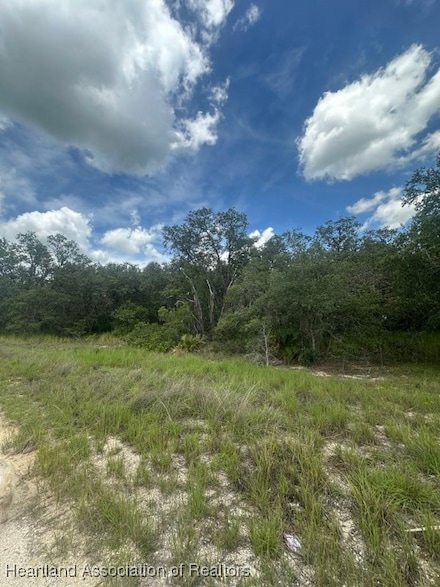 3064 Ryder Rd, Avon Park, FL 33825