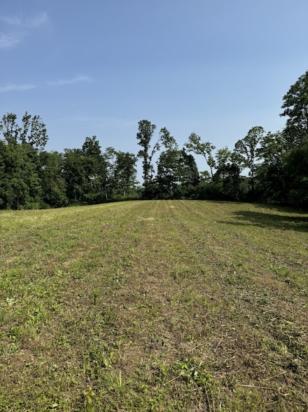 25 Annie Hollow Rd, Westmoreland, TN 37186