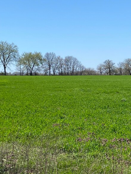 000 Farm Road 1090, Cassville, MO 65625