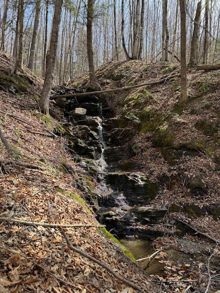 0000 Burke Hollow Rd, Burke, VT 05819