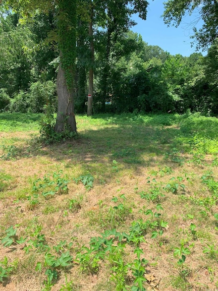 Lots 35 -39 Trout St, Perryville, AR 72126