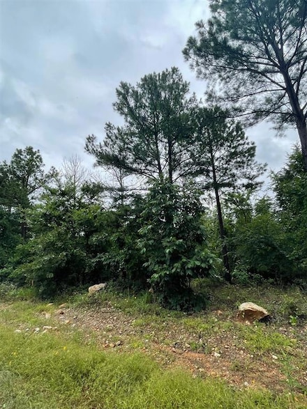 77 Cedar Hills Lakes, Broken Bow, OK 74728