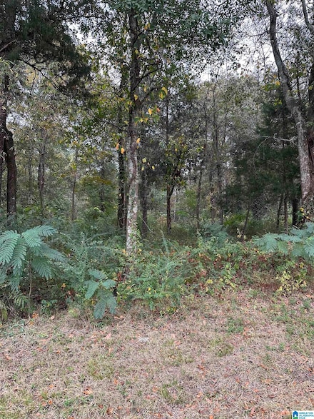 0 Annesley Dr Unit 1 21402280, Pell City, AL 35128