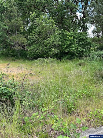 343 Topaz St, Philomath, OR 97370