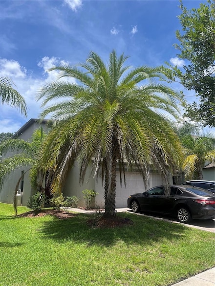 20042 Date Palm Way, Tampa, FL 33647