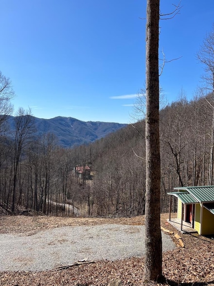 0 Pigeon Creek Rd Unit 26039839, Bryson City, NC 28713