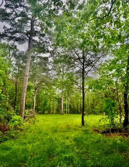 85 Dana Bell Rd, Broken Bow, OK 74728