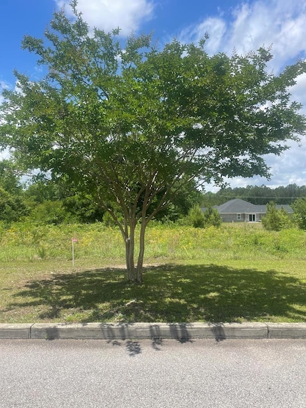 585 Constitution Dr, Sumter, SC 29154