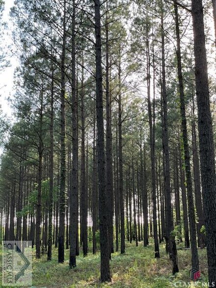 0 Doyle Jackson Rd, Bartow, GA 30413
