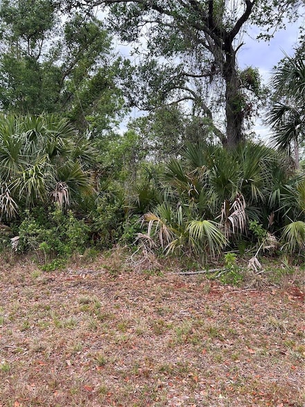 14066 Stanfield Ave, Port Charlotte, FL 33953