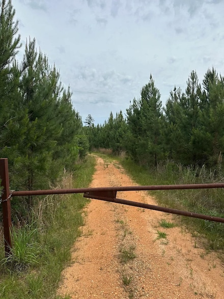 Cooper's Ln, Repton, AL 36475