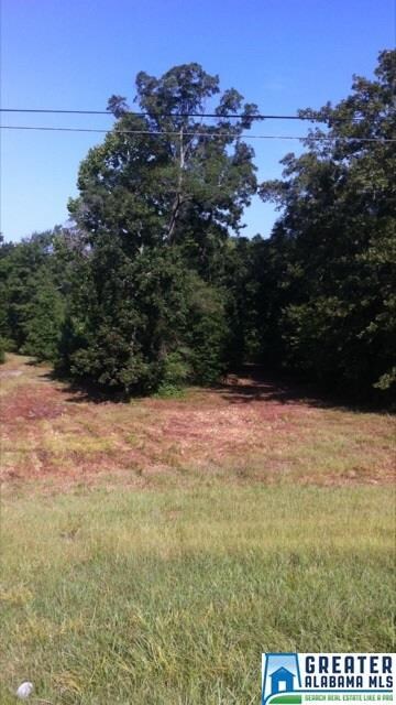 25345 Highway 145, Columbiana, AL 35051
