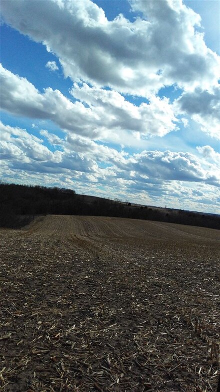 10257 High Ridge Rd, Darlington, WI 53530