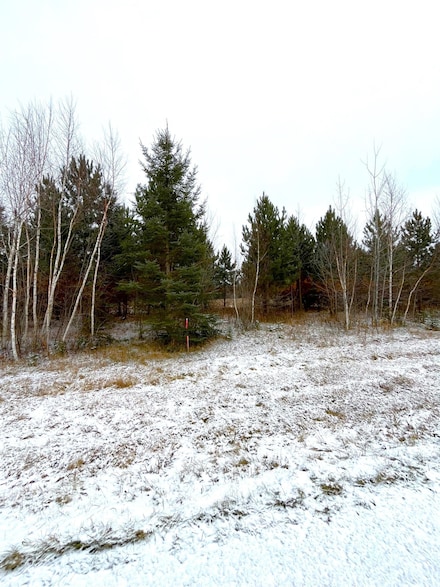Lot 4 - TBD 330th St, Warroad, MN 56763