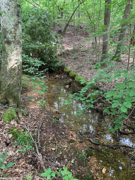 0 Beaver Creek Dr, Parsons, TN 38363