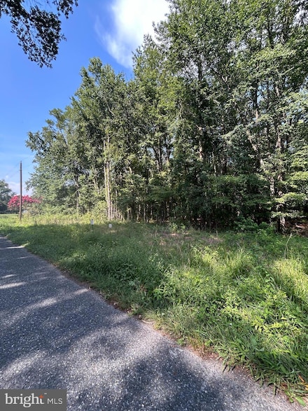 0 Chesterville Forest Rd Unit PARCEL 84A, 1, Massey, MD 21651