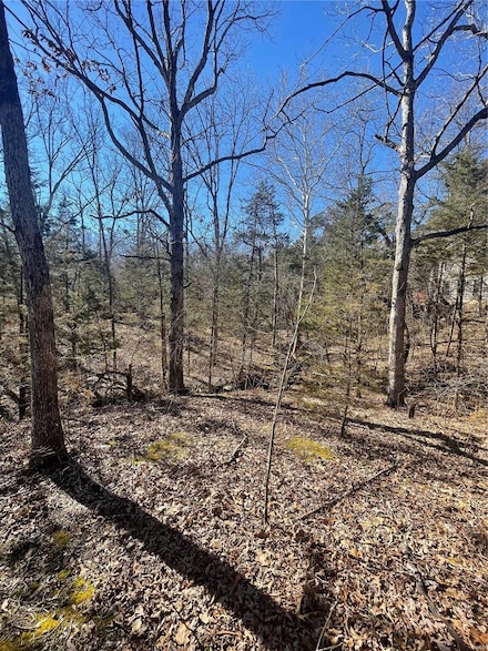 329 W Lakeview Dr, Valle Township, MO 63020