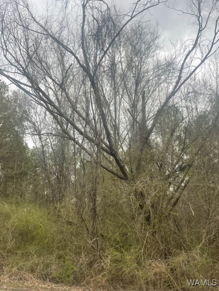Lot 10 Magnolia Creek, Gordo, AL 35466