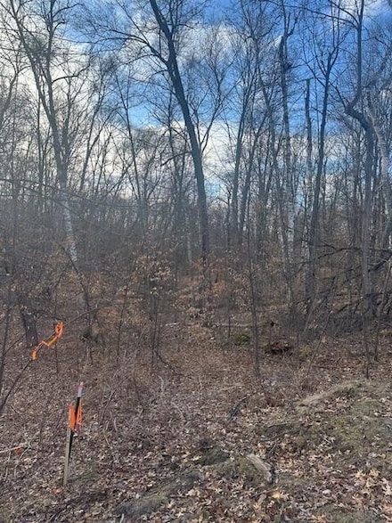 L1B2 Wilderness Trail, Crosslake, MN 56442