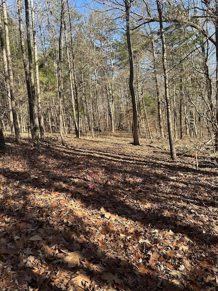 2 Lower River Rd NW, Charleston, TN 37310