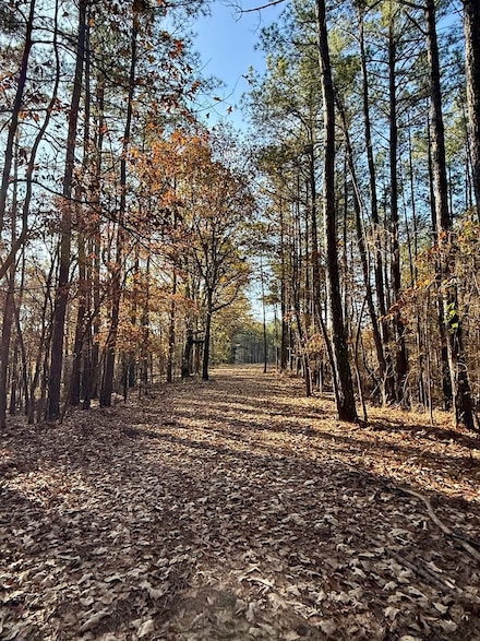 8 Mill Pond Rd, Lamar, MS 38642