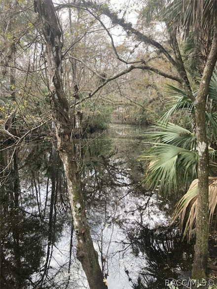275 S Tuck Point, Inverness, FL 34450