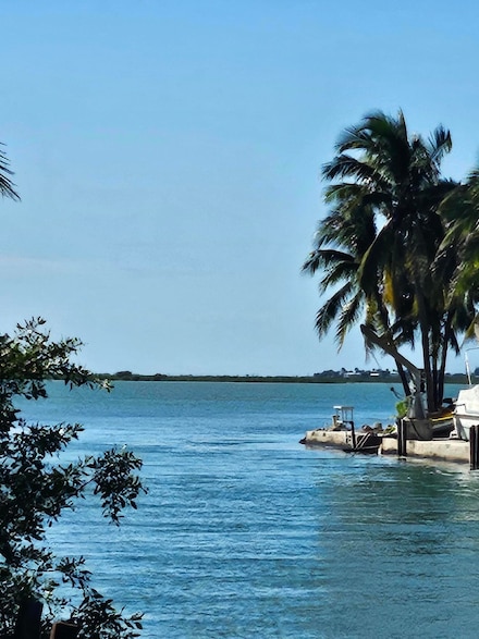 17171 Seagrape Ln, Summerland Key, FL 33042