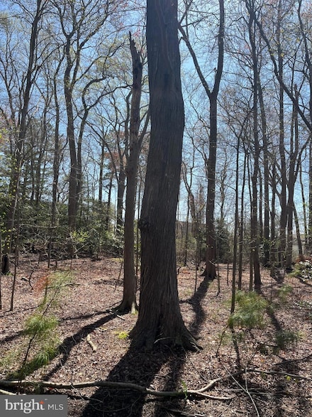 Lot 22 Pine Grove Ln, Ocean View, DE 19970
