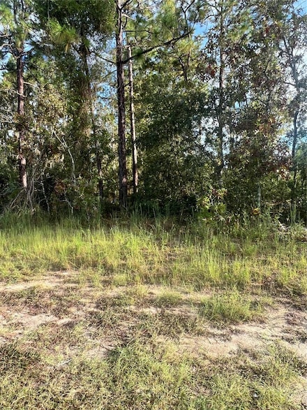0 Hemlock Trail Unit MFROM710410, Ocala, FL 34472