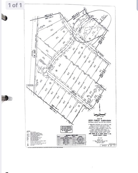 206 Iron Horse Rd, Willis, TX 77358