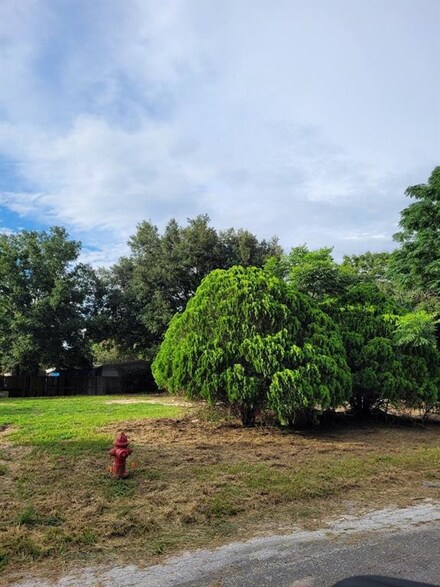 0 Palm Dr, Montverde, FL 34756
