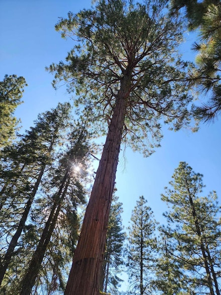0 Meadowlark Unit Lot 700 220192169, Bonanza, OR 97623