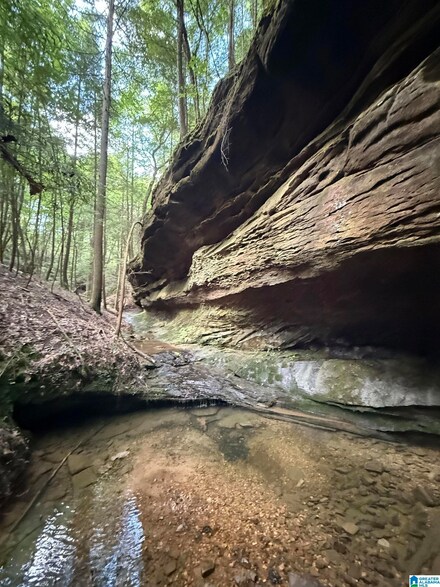 50 Acres County Road 2 Unit 50+/- Acres, Double Springs, AL 35553