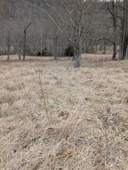 2654 Short Rd, Salvisa, KY 40372