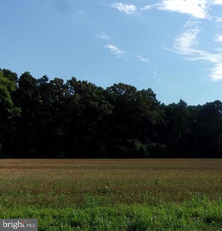 2 parcel 133-06.00-1 E Piney Grove Rd, Georgetown, DE 19947