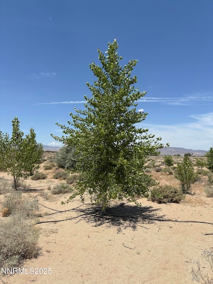 4210 E 6th St, Silver Springs, NV 89429