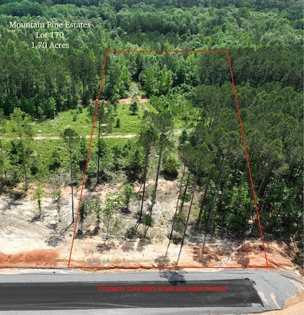 TBD Mountain Pine Rd Unit Tract 170, Mabelvale, AR 72103