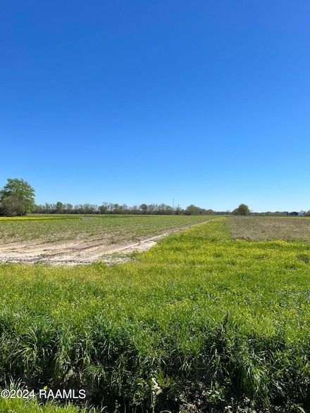 Tbd N Riceland Rd, Rayne, LA 70578