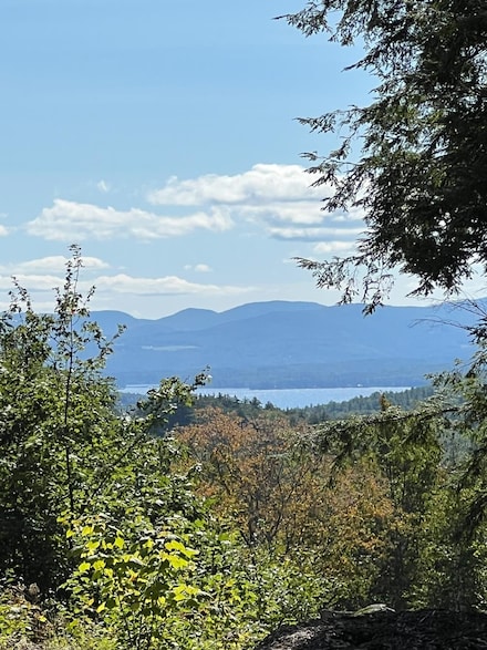 226-087 Wood Ridge Rd, Center Harbor, NH 03226