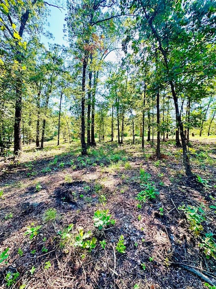 2799 S Old Hwy, Atoka, OK 74525