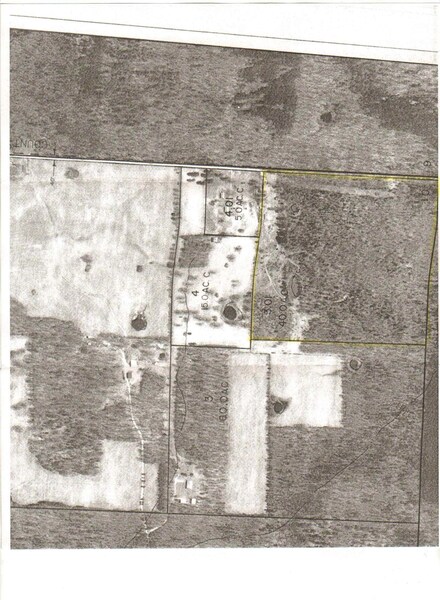 673a County Rd, Birch Tree, MO 65438
