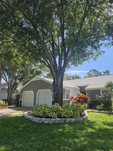 339 Petrea Dr Unit 37, Palm Harbor, FL 34684