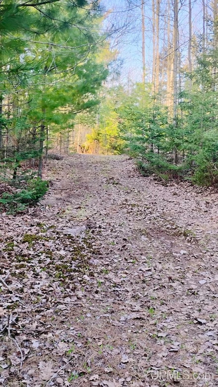 20 +/- Acres N River Dr, Gwinn, MI 49841