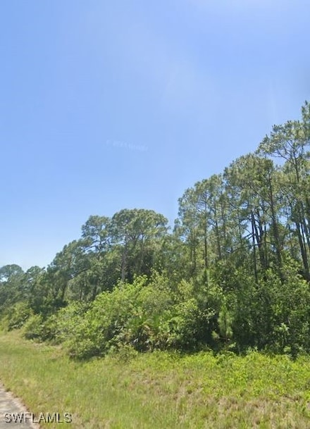 849 Morning Ln Unit 25, Fort Denaud, FL 33935