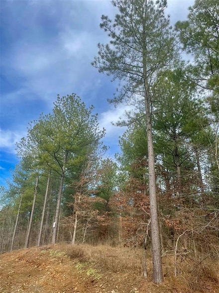 756 Timber Creek Trails South Xl, Broken Bow, OK 74728